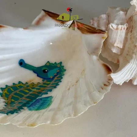 El Caballito De Mar Διαμέρισμα *