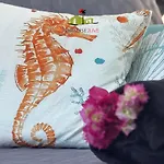 El Caballito De Mar