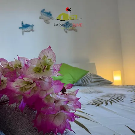 El Caballito De Mar * كوراليهو
